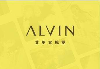 艾爾文視覺